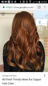 Pin By Anouk Wolkotte On Hair Copper Hair Color Hair Styles Brunette Hair Color