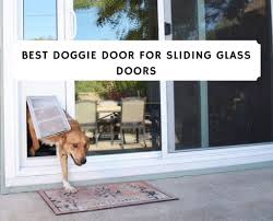 Buy petsafe dog doors & flaps and get the best deals at the lowest prices on ebay! Best Doggie Doors For Sliding Glass Doors 2021 Top 8 Picks