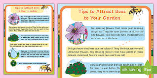 Just like humans, healthy bees require a balanced diet. Tips To Attracts Bees To Your Garden