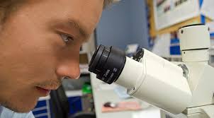 Veterinary Hospital in PA