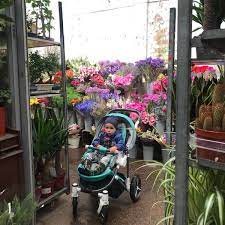 Flower Warehouse Bethnal Green North 2 Tips