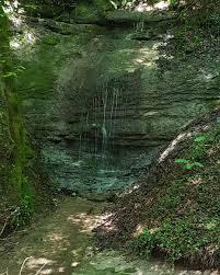Am Flussbett Natur Nature Biotop Fluss River Wasserfall Pflanzen Fels Country Roads Road Country
