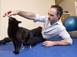 Noel fitzpatrick during an episode of supervet. Tv Vet Noel Fitzpatrick From Wiping Cow S Te From His Eyes To An Arena Tour And Unlikely Rock God Status