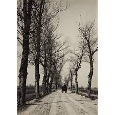 Sold Price Alfred Stieglitz November Days 1887 April 2 0117 10 00 Am Edt Alfred Stieglitz History Of Photography Landscape