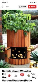 Pin By Allison Melton Jubb On Jubb Garden Inspirations Garden Inspiration Plants Garden