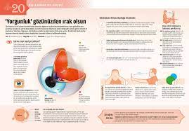 Goz Infografik Infografik Tip Saglik
