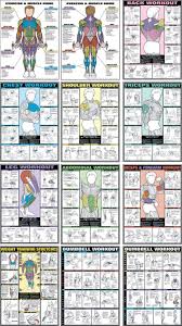 fitnus chart flip chart 12 posters in 1 book amazon home