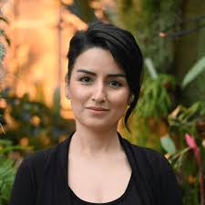 Vermont Participatory Action Research Team (V-PART)