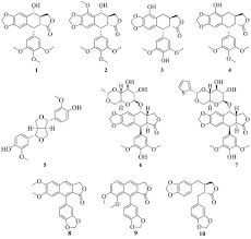 Image result for Hugonia grandiflora