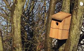 Il s'agit d'un atelier ludique et éducatif autour de l'importance des oiseaux dans la biodiversité générale. Tutoriel Construire Un Nichoir En Bois Pour Mesanges