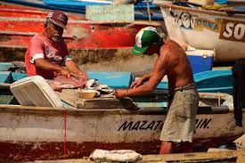 Mazatlan Fishermen Sinaloa Mexico Mazatlan Mexico