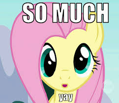 Image result for pony yay