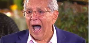 gato louco foi eleito suplente