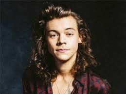 I think thst harry styles face looks more like justin bieber and liams hair looks like justin biebers hair mon. Hair Styles Harry Styles Curly Hair