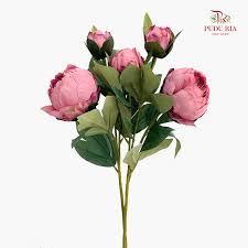 CNY Artificial Peony Sarah Spray Pink 80cm
