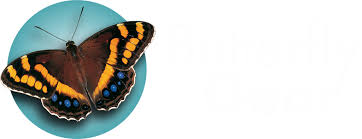 Image result for Berkheya bipinnatifida