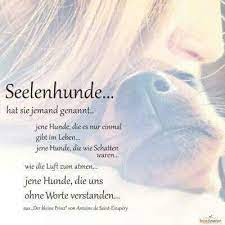 Liebe anubisfreunde, jeder von euch,der hier mitglied im anubisforum ist, hat vor längerer oder auch vor ganz kurzem seinen liebling verloren. Pin Von Elke Croll Auf Hunde Regenbogenbrucken Hund Trauer Um Hund Haustier Zitate