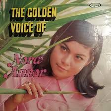 Echo My Heart (1991)