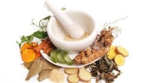 Bahkan dari temulawak, sudah tercipta obat fitofarmaka yang berfungsi . Temulawak Si Tanaman Herbal Pelindung Hati Info Farmasi Terkini Berbasis Ilmiah Dan Praktis