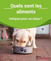Epingle Sur Alimentation
