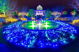 Thousands of lights line garden paths and twinkle in trees under the night sky. Lewis Ginter Botanical Garden Dominion Energy Gardenfest Of Lights M Barkley Photography