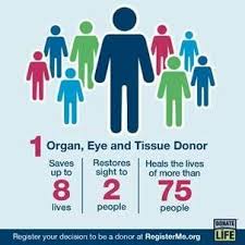 Image result for Tissue Donation