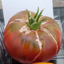 (p) pkt of 30 seeds. Tomato Black Krim Out Of My Shed