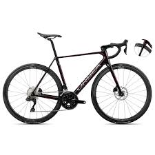 Image result for Orbea umbracula