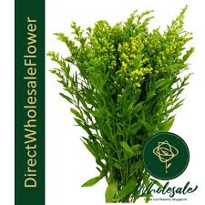 Flower delivery 4 all phoenix has great birthday gifts, stunning fresh flowers and gift baskets. Phoenix Flower Wholesale In Singapore