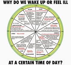 Why Do We Abruptly Wake Or Feel Ill At Certain Time Of The