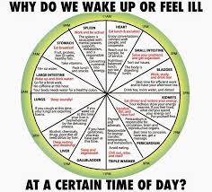 why do we abruptly wake or feel ill at certain time of the