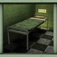 Cyclonesue S Prison Bed Or Bottom Bunk