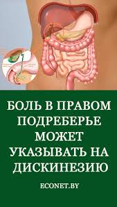 как избавиться от неприятного запаха изо рта из за желудка Bol V Pravom Podrebere Mozhet Ukazyvat Na Diskineziyu In 2020
