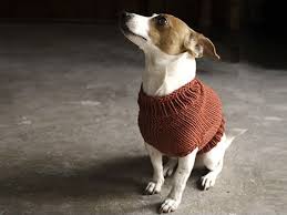 Cats get cold, too, so use this free knitting pattern to keep them warm. 12 Dog Sweaters And Other Knitting Patterns For Pups