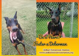 We did not find results for: Welcome