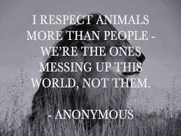 Welcome To My Care2 Animal Quotes Animal Rights Vegan Quotes