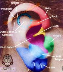 Ear Piercing Placement Diagram I Have Matching Lobes Done