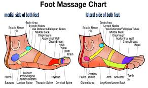 Free Downloadable Foot Massage Side Chart Foot Reflexology
