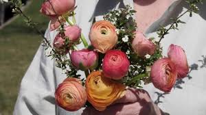 Send rose flower for mother's day to all of the special moms in your life, and thanks them for the love and care they have brought into this world. Sold Out Since Tuesday Saskatoon Florist Fills 300 Orders For Mother S Day Ctv News