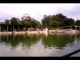 Memancing Ikan Air Tawar 2014