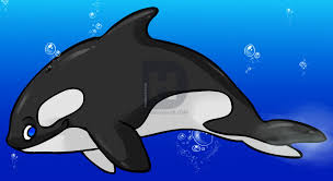 It's friday, don't forget to take a photo of all the art you did this week and email it to myart@artforkidshub.com we'll feature your art in our next monday. Killer Whale Drawing Easy Amashusho Images