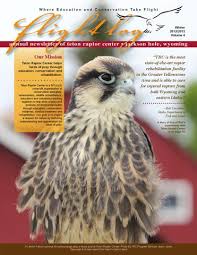 Teton Raptor Center Winter Newsletter by Meghan Warren