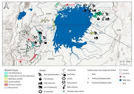Image result for Ascolepis lineariglumis