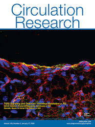 Chronobiological Influence Over Cardiovascular Function
