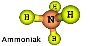 Bewohner eines mehrfamilienhauses hatten laut polizeiangaben ammoniakgeruch im treppenhaus gemeldet. Ammoniakgeruch Entfernen So Machst Du Es Richtig Tipps