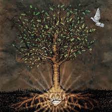 Mustard Seed Mustard Seed Parable Kingdom Of Heaven Mustard Seed