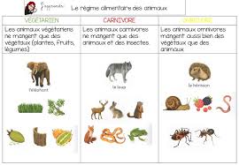 Le Regime Alimentaire Des Animaux Regime Alimentaire Des Animaux Regime Alimentaire Regime