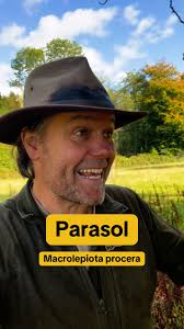 🍄 Is this the BEST wild mushroom for beginners? 🍄 I think it just might  be. Easy to identify, fairly common and tastes great. What do you think?  You can join our FREE online foraging course right ...