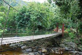 Yan town is the administrative centre of yan district, complete with administrative facilities. Taman Eko Rimba Titi Hayun Jabatan Perhutanan Semenanjung Malaysia