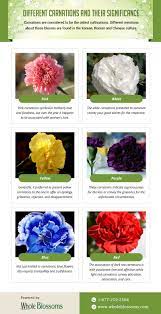 This Infographic Delivers Relevant Information About The Carnations Flowers Carnation Flower Is The Be Lily Of The Valley Flowers Purple Carnations Carnations